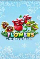 Flowers Christmas Edition